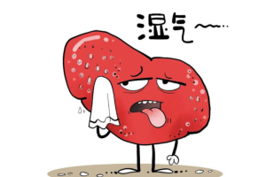 本草食光 | 厨房里的清爽组合，煮好3碗汤
