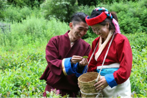 门巴族医药文化：喜马拉雅山地的复合医道