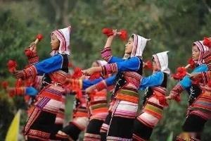 基诺族医药文化：茶为百药引的山地智慧