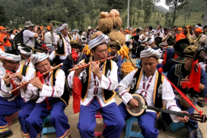 仡佬族医药文化：三元合一与三宝气血