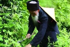 苗医药文化：冷热两纲与三千苗药