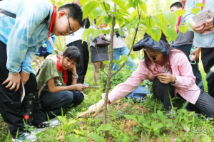 湖北中医药大学：百名小学生走进大学“识本草”研学