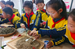 灌云县云湖实验小学：红领巾探秘中医文化之旅