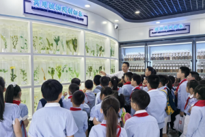 成都市弟维小学：药食同源汉堡胚制作研学