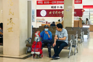 戴小锋调研同仁堂基层诊疗服务优化工作