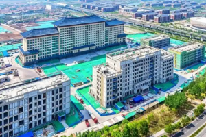 天津中医药大学第一附属医院国际针灸中心将研制针灸优势病症智慧诊疗决策系统