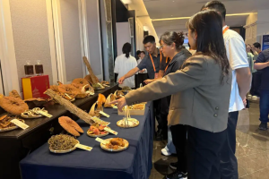 中国彝医药现代化成果在腾冲科学家论坛专题活动上面向国际社会展示
