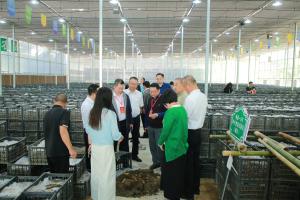 京津冀三地药监局联合印发《京津冀中药材采购验收和供应商管理指导原则》建立全链条质量管控