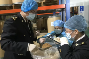 甘肃7味道地中药材首次出口德国 海关帮扶企业对标欧盟标准拓欧洲市场