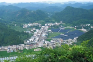 贵州江口淫羊藿加工转化率跃升65%，林下药材就地增值