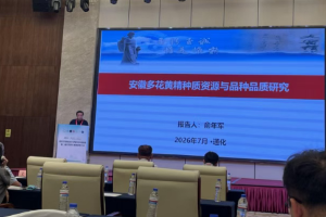 通化召开第二届中药材生物育种研讨会，林下参种质溯源受聚焦