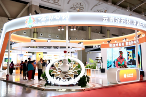 首届昆明中药材产业国际博览会收官，云药全链对接南亚东南亚供应链