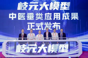 上海七院“岐元大模型”持续下沉：名老中医Agent落地援藏援疆对口医院