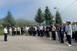 甘肃陇西召开全省中药材GAP示范基地观摩会，陇渭岷建成6个千亩标准样板